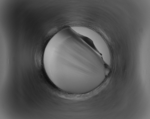 X0000086770023200705111744