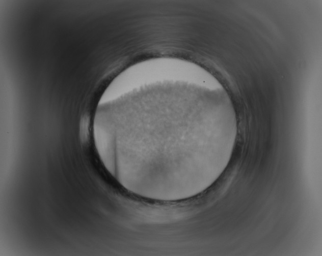X0000086770024200705111744