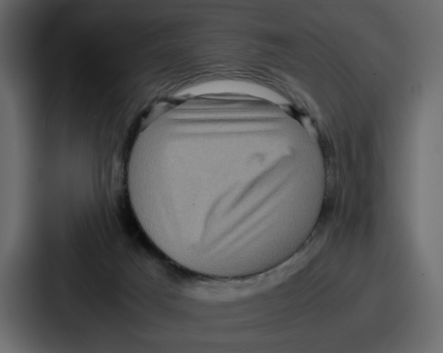 X0000086770025200705111744