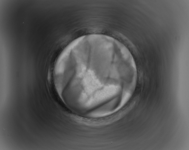 X0000086770026200705111744