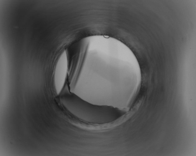 X0000086770027200705111744