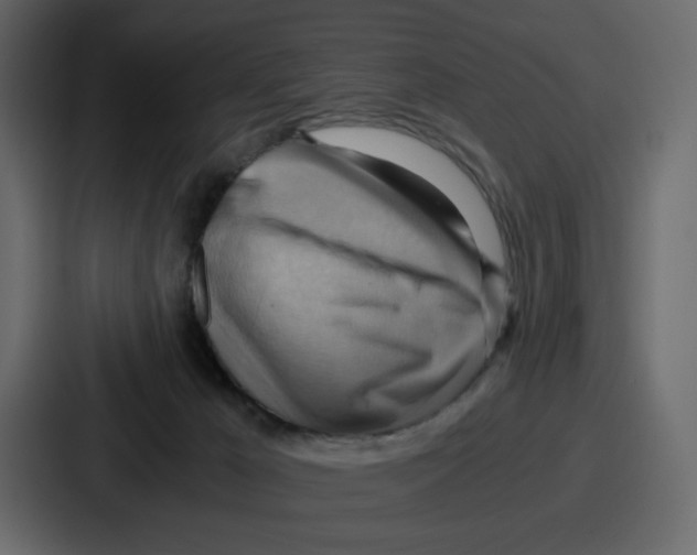 X0000086770029200705111744