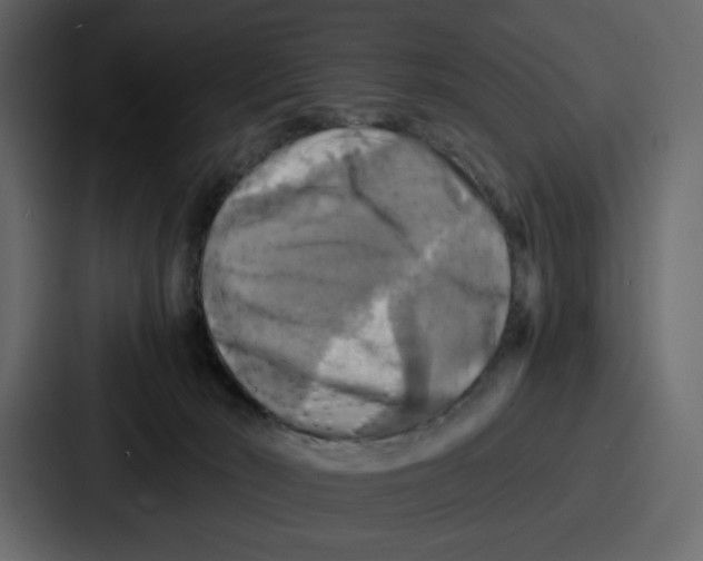 X0000086770030200705111744