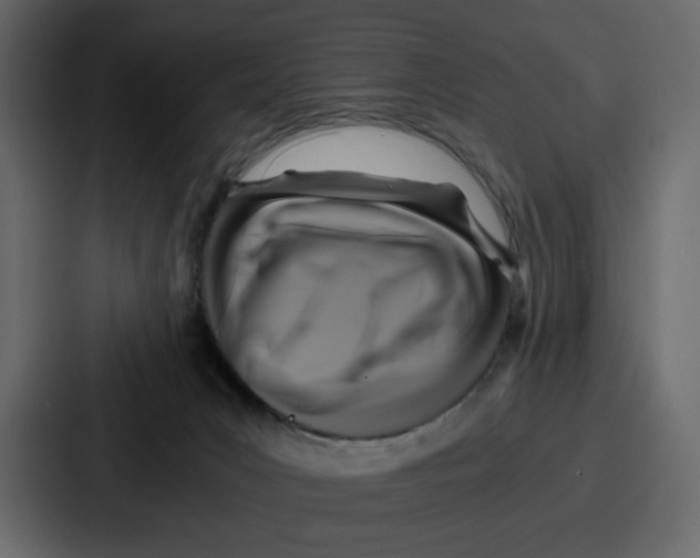 X0000086770031200705111744