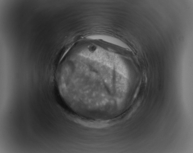 X0000086770032200705111744