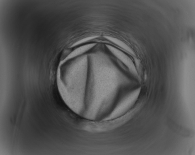 X0000086770033200705111744