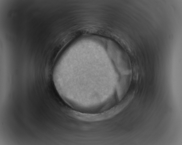 X0000086770034200705111744