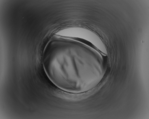 X0000086770035200705111744