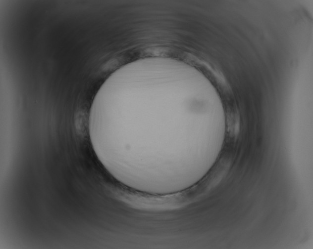 X0000086770036200705111744
