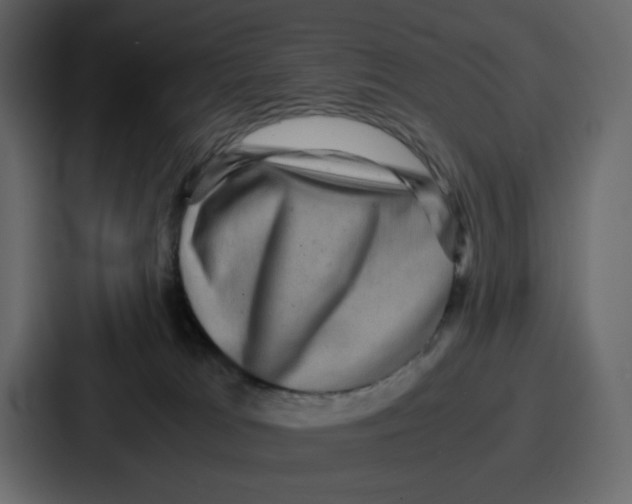 X0000086770037200705111744