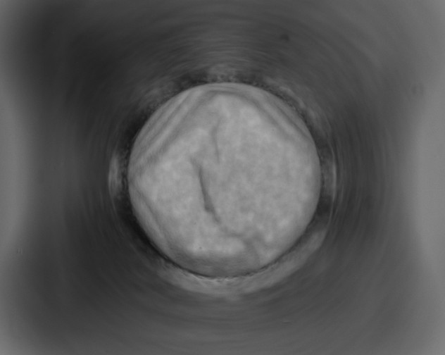 X0000086770038200705111744