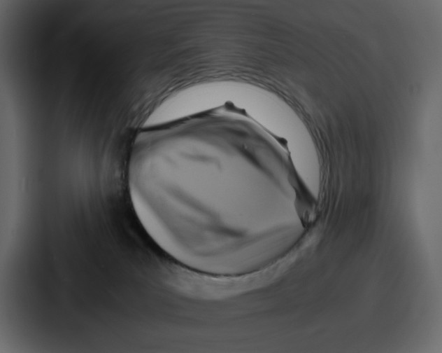 X0000086770039200705111744