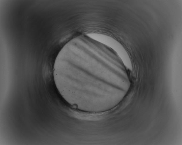 X0000086770040200705111744