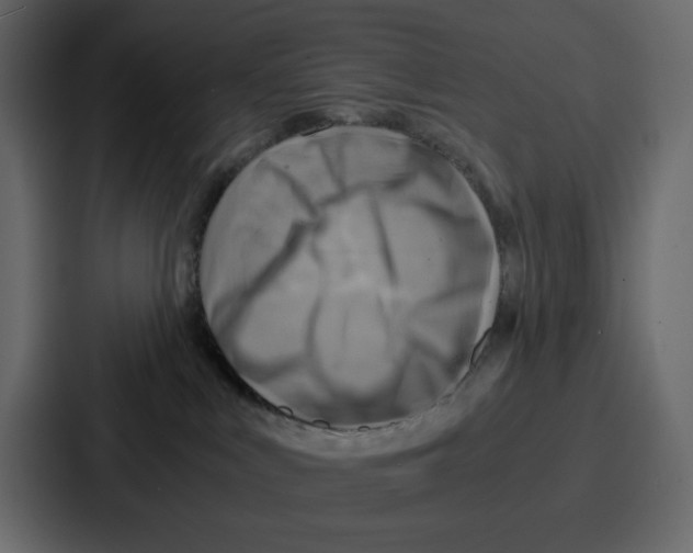 X0000086770043200705111744