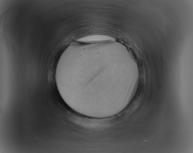 X0000086770044200705111744