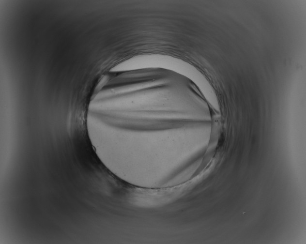 X0000086770045200705111744