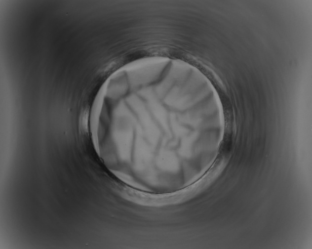 X0000086770047200705111744