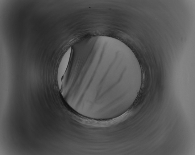 X0000086770048200705111744