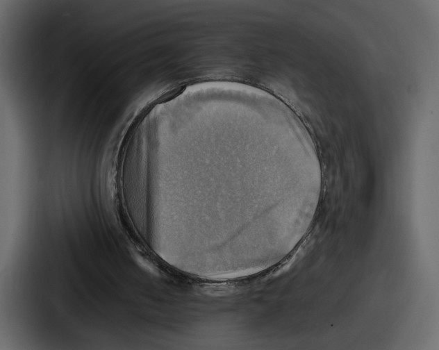 X0000086770050200705111743