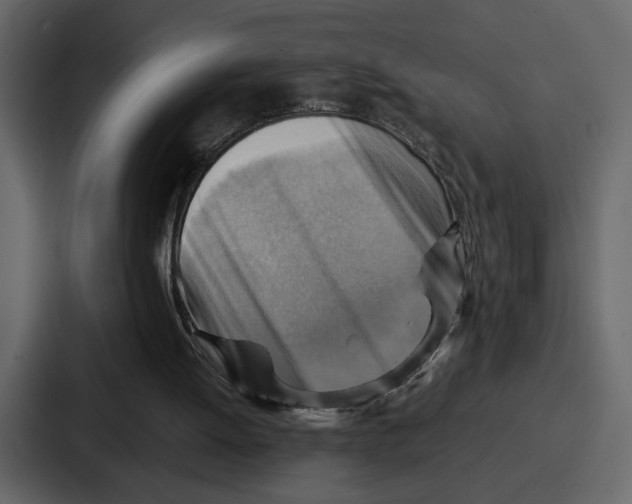 X0000086770052200705111743