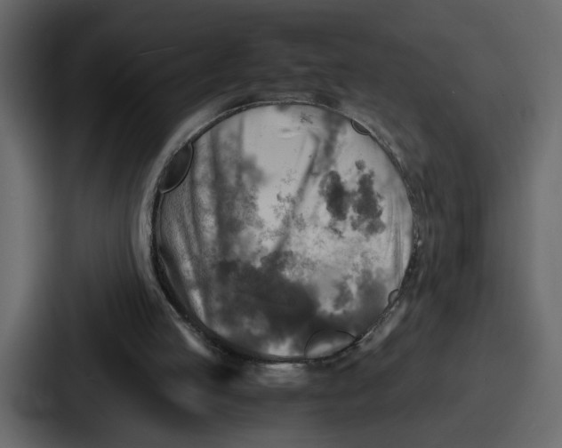 X0000086770053200705111743