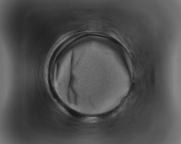 X0000086770055200705111743