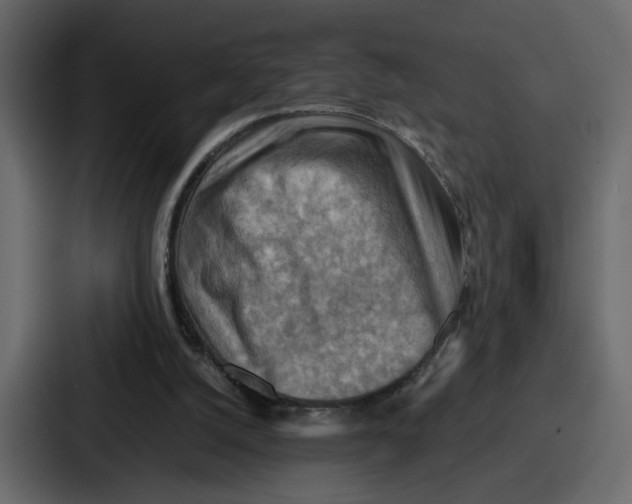 X0000086770056200705111743