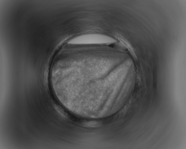 X0000086770058200705111743