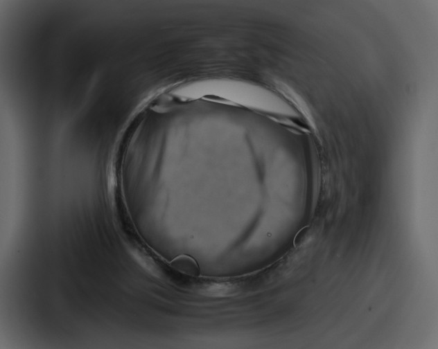 X0000086770059200705111743