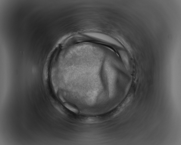 X0000086770060200705111743
