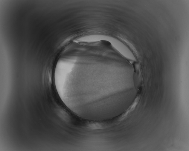 X0000086770062200705111743