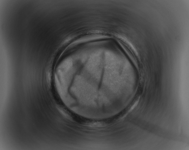 X0000086770063200705111743