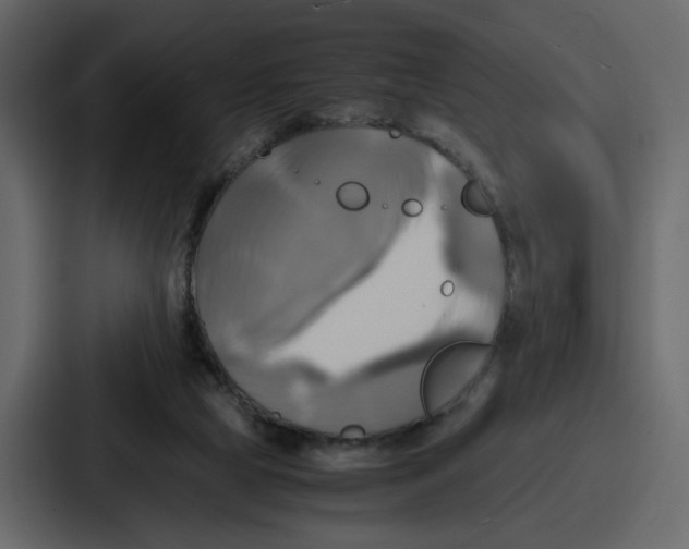 X0000086770065200705111743