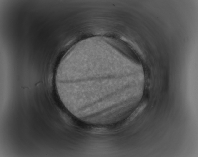 X0000086770066200705111743