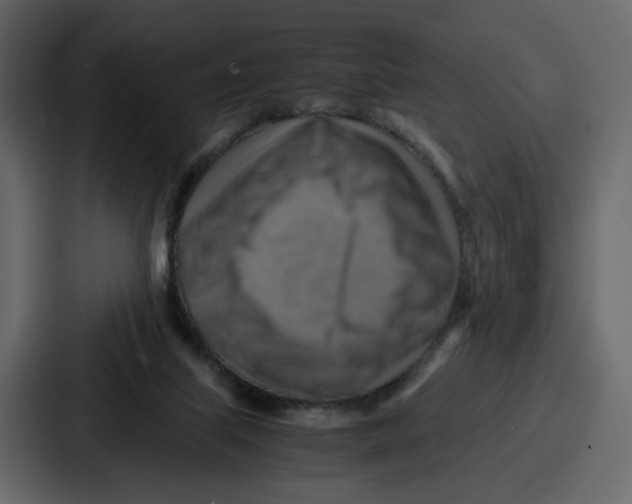X0000086770067200705111743