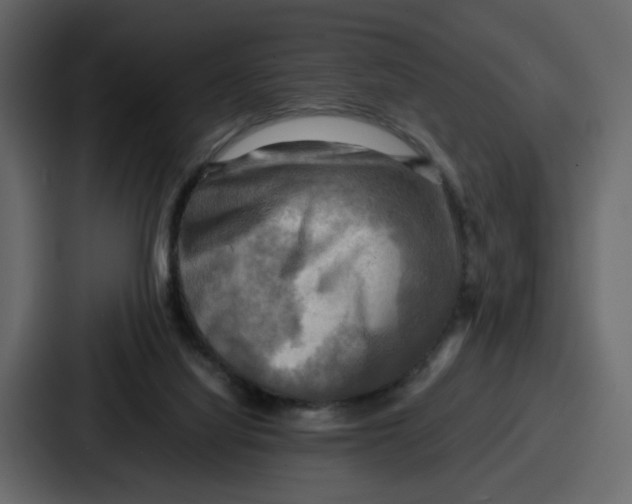 X0000086770068200705111743
