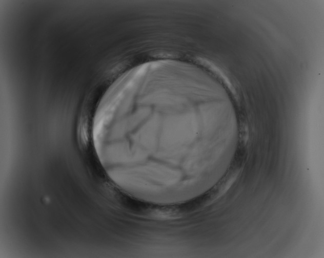 X0000086770069200705111743