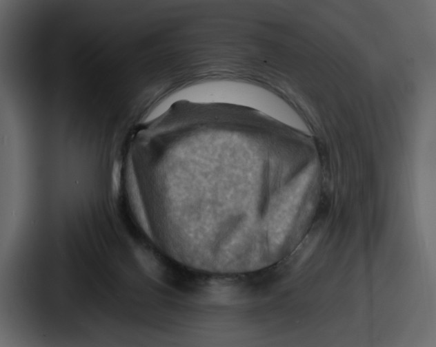 X0000086770070200705111743