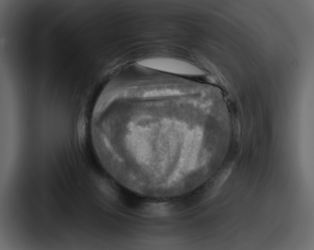 X0000086770071200705111743