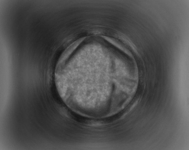 X0000086770073200705111743