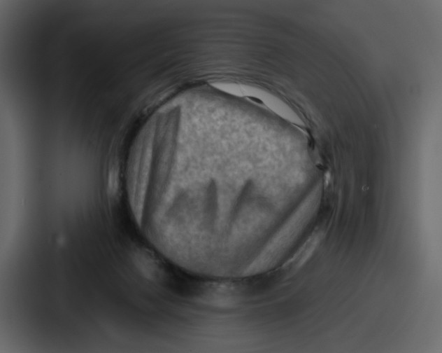 X0000086770074200705111743