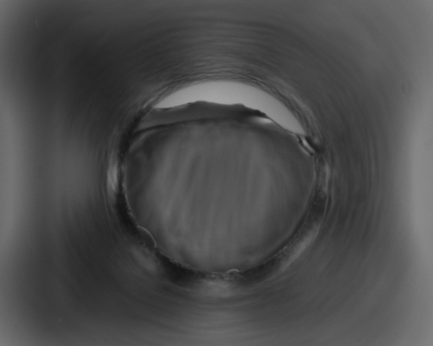 X0000086770076200705111743
