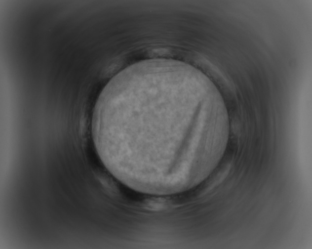 X0000086770079200705111743