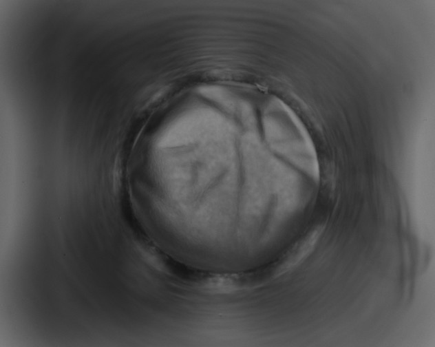 X0000086770080200705111743