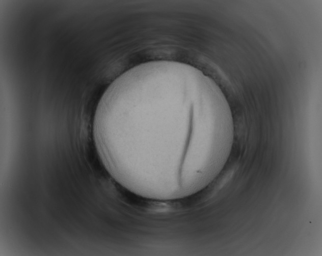 X0000086770083200705111743