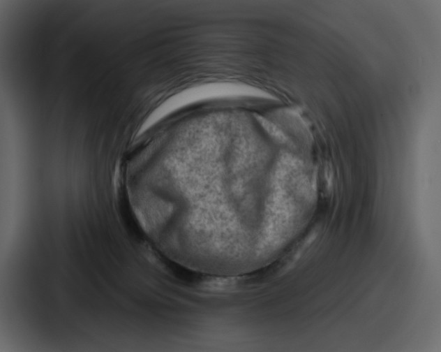 X0000086770084200705111743