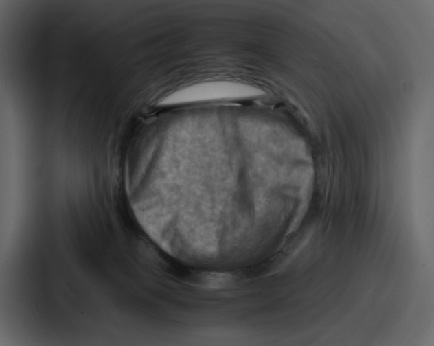 X0000086770085200705111743