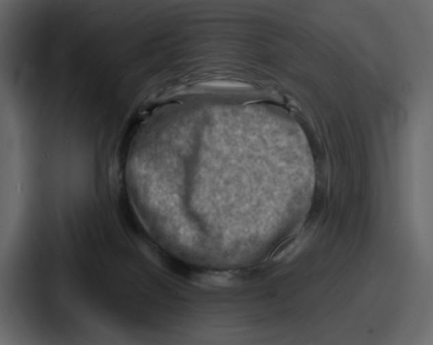 X0000086770086200705111743