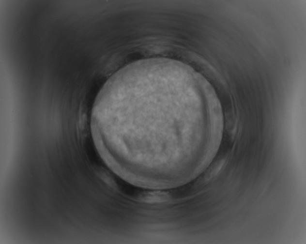 X0000086770087200705111743