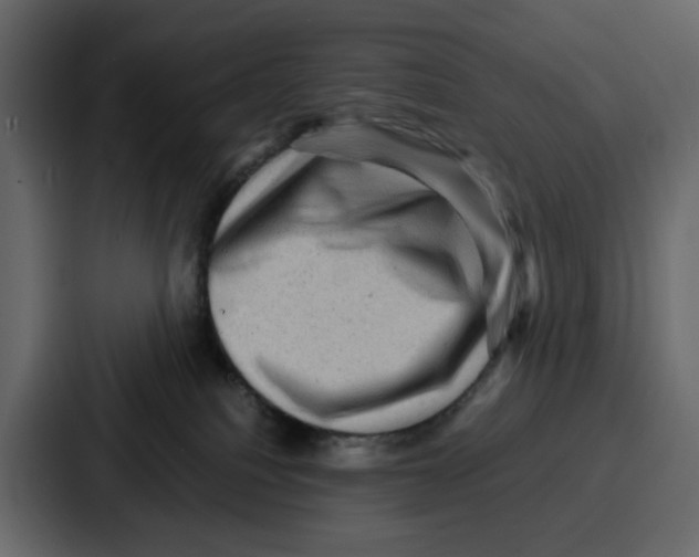 X0000086770088200705111743